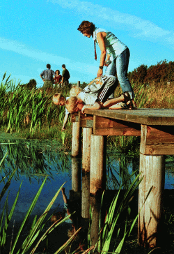 Frau mit Kind auf der Beobachtungsplattform am Teich